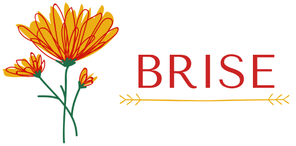 Brise Aromas