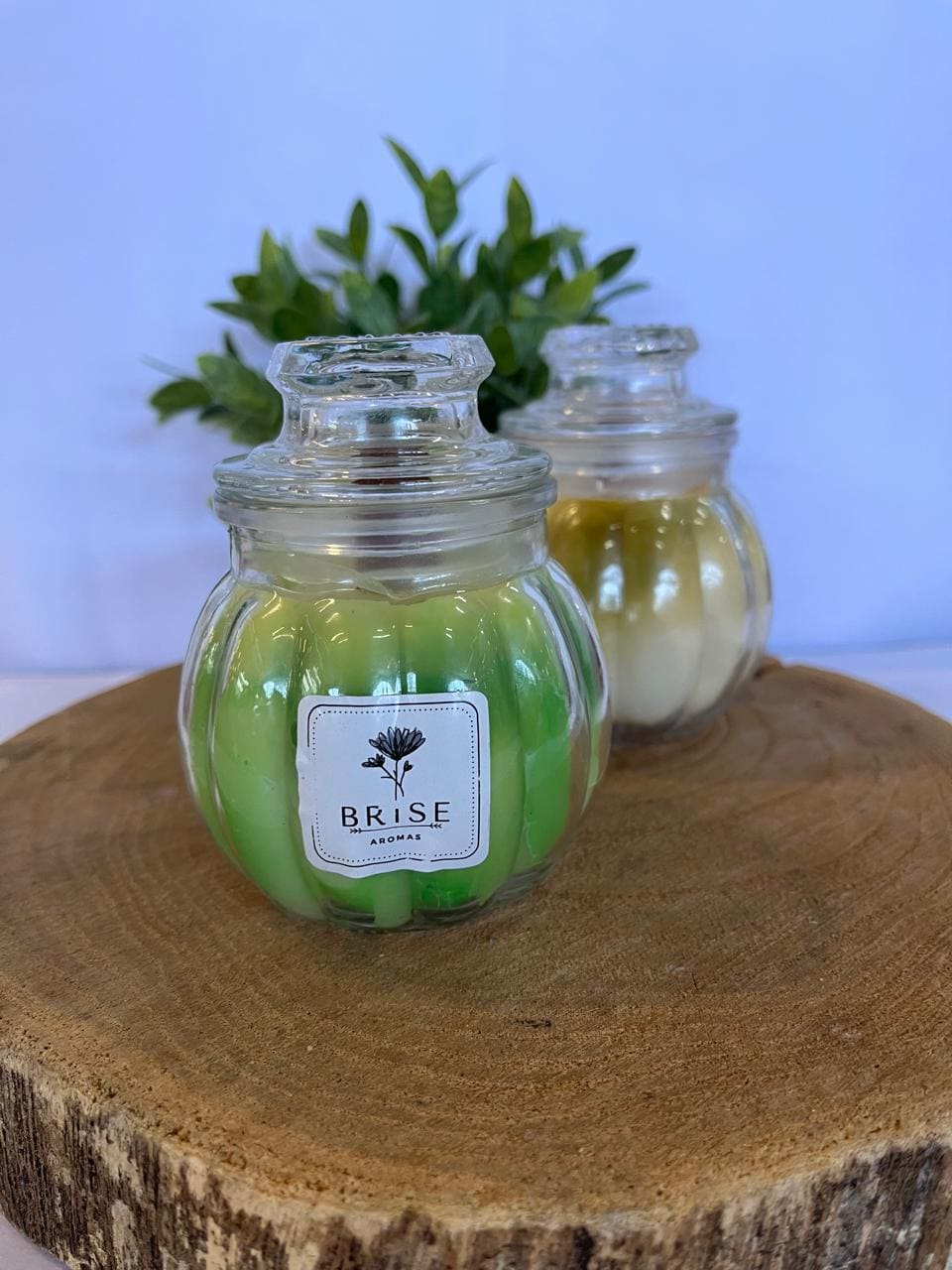 Vela Aromática em Vidro 250 ml | Brise Aromas