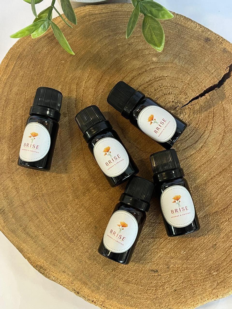 Óleos Essenciais Aromáticos | Brise Aromas
