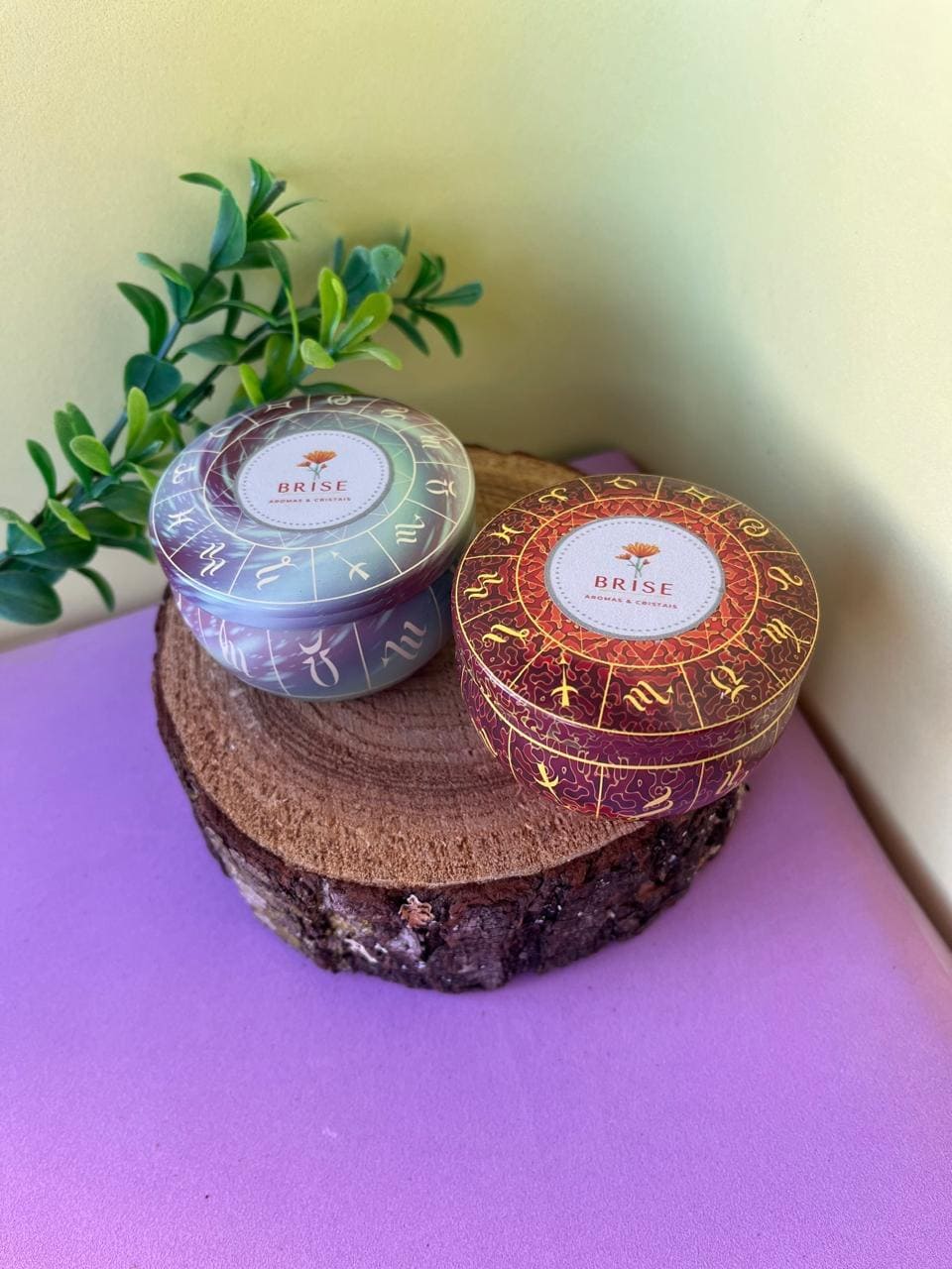 Vela Aromática 90g Cera Vegetal | Brise Aromas