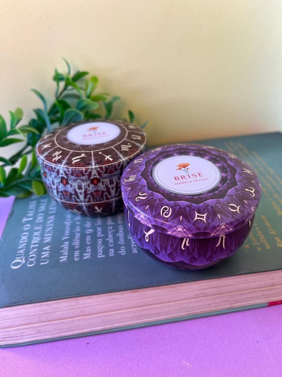 Vela Aromática 90g Cera Vegetal | Brise Aromas