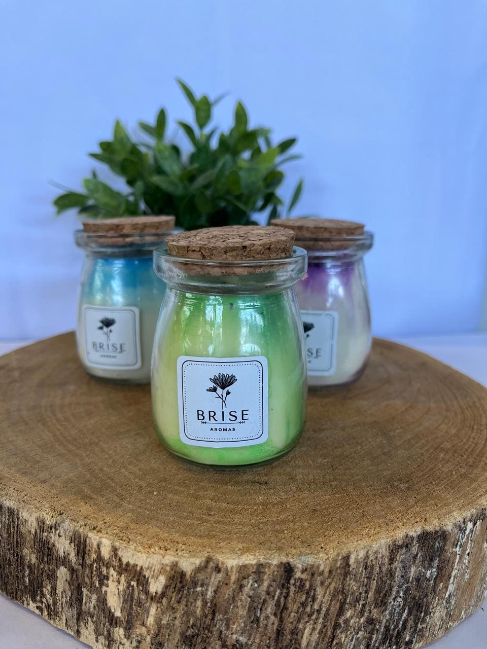 Vela Aromática 90g Cera Vegetal | Brise Aromas