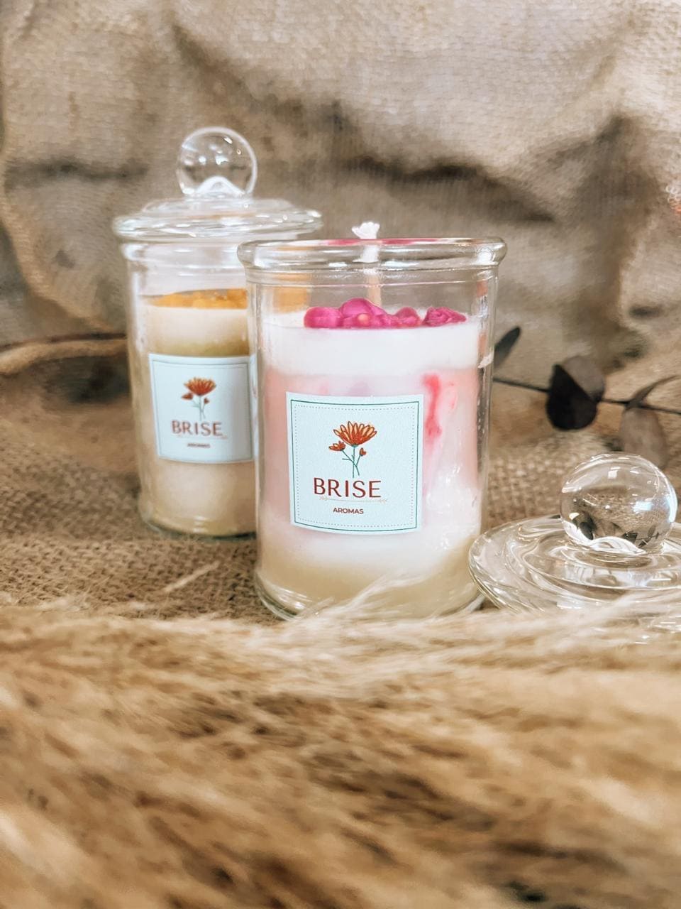 Vela Aromática em Vidro 110g | Brise Aromas