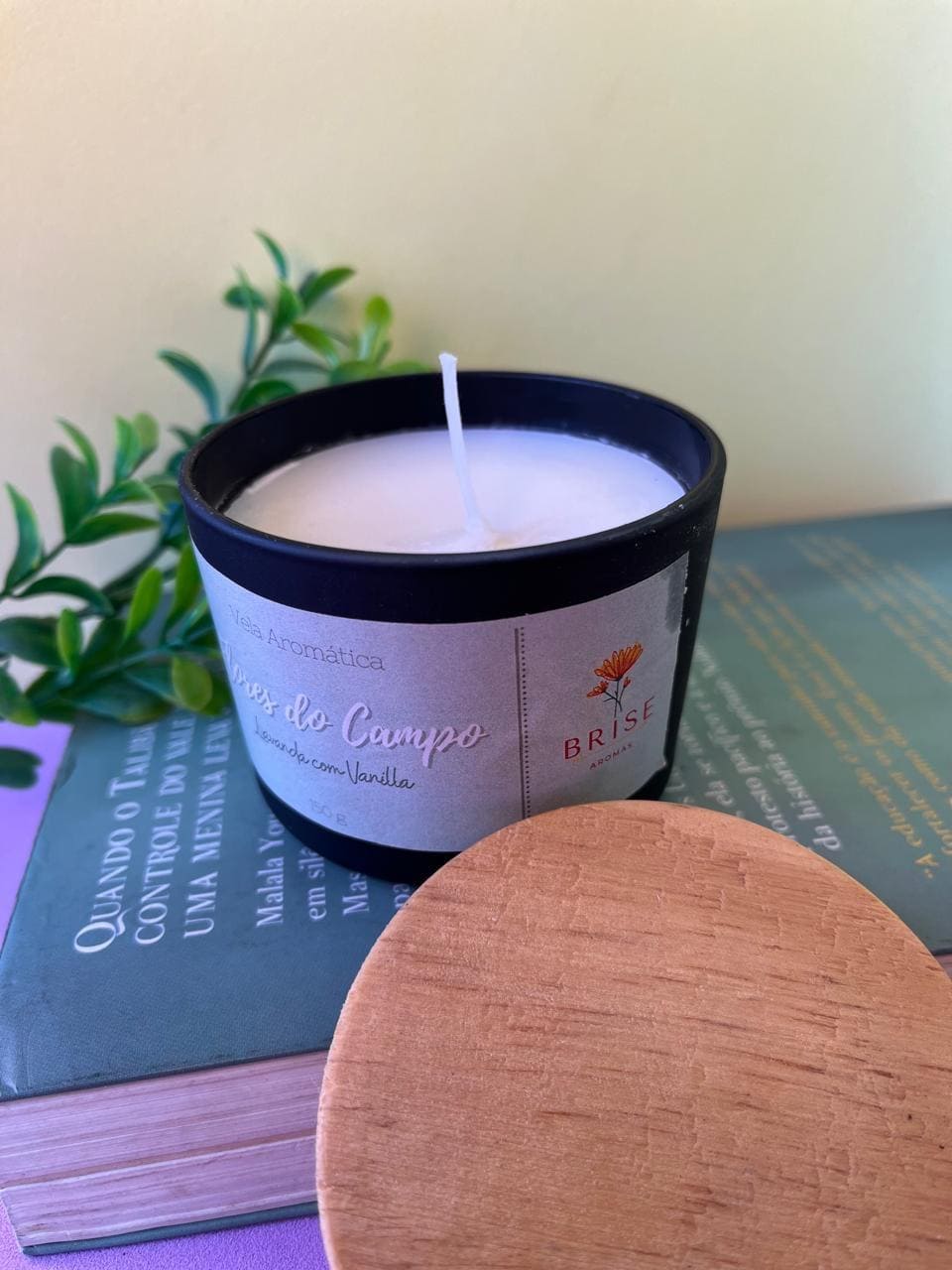 Vela Aromática Vidro/Lata 150g | Brise Aromas